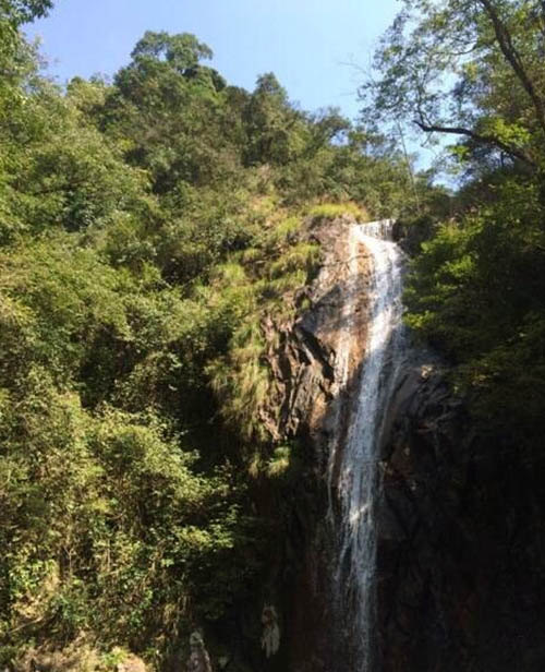 畅游开化古田山