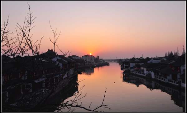 青浦之湿地 - 携程社区