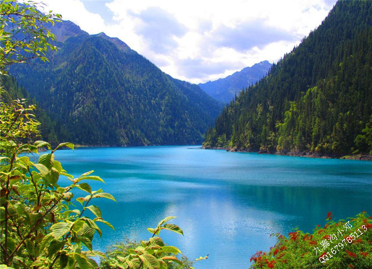 请问大家谁知道九寨沟哪家旅行社好,对自助游