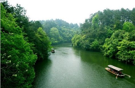 2019石象湖_旅游攻略_门票_地址_游记点评,蒲江旅游景点推荐 - 去哪儿