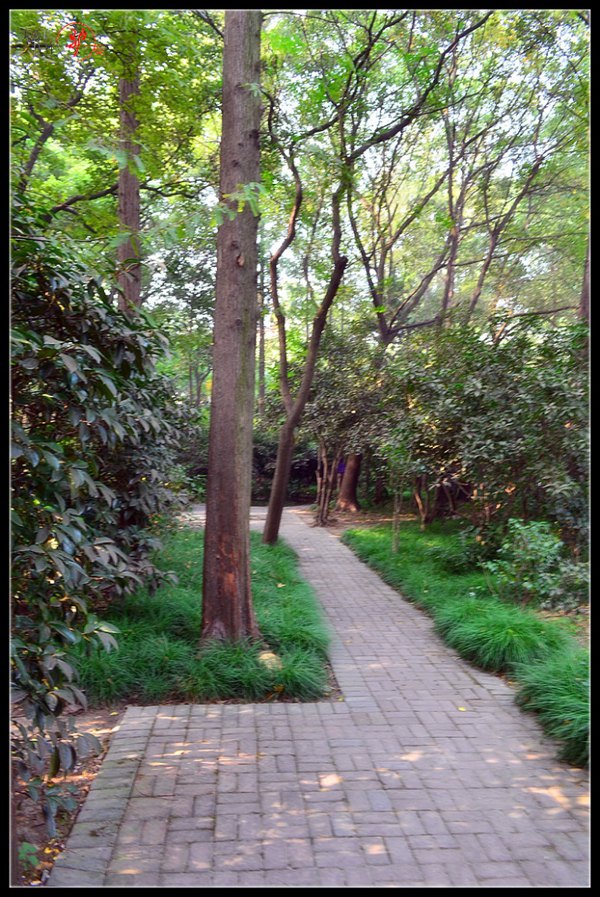 上海衡山公园