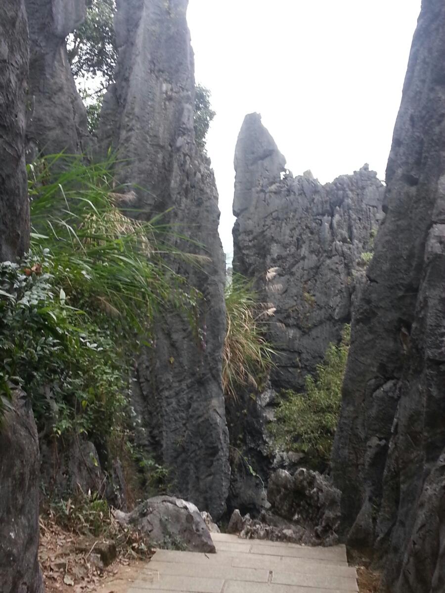 永安石林一日游