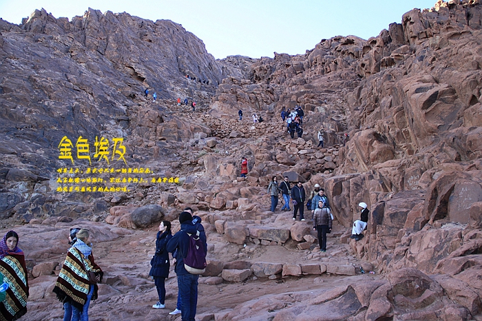 古埃及探秘,西奈山忏悔,红海休闲之旅