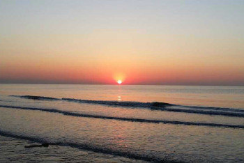 吃海星_海星怎么吃_海绵宝宝吃海星 | 知客分享