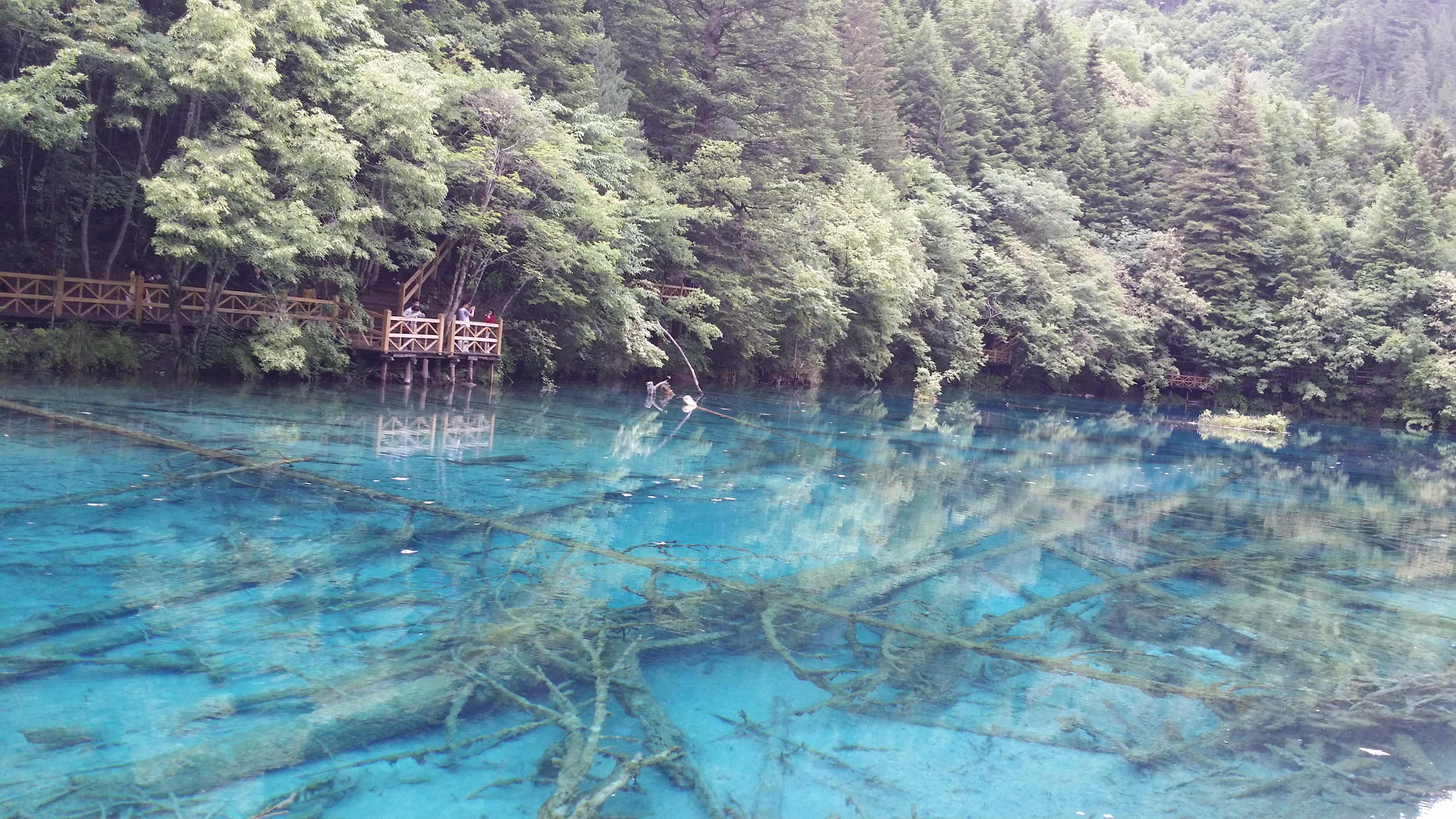 九寨沟有大大小小好多瀑布呢!