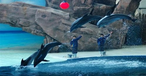 【珠海】抚顺皇家海洋乐园全馆一日游(端午大促，特惠抄底价)-携程旅游度假