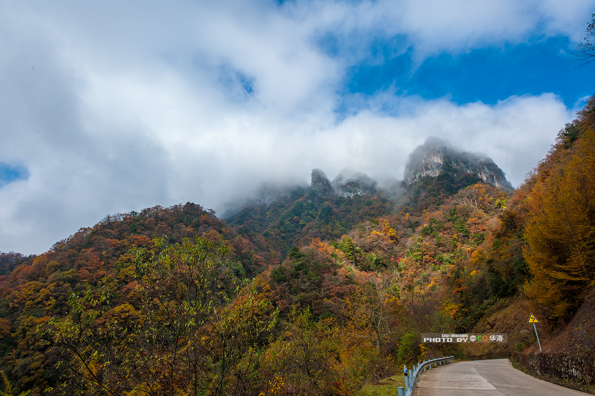 行走在漫山红叶的光雾山里