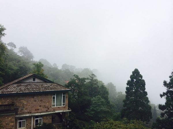 浙江莫干山芦花荡饭店