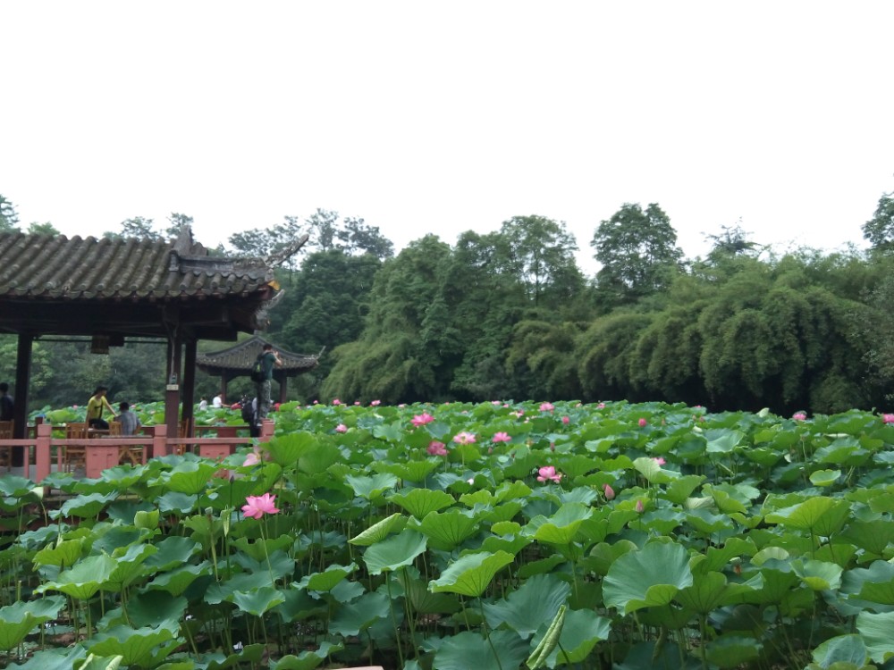 郫县望丛祠,郫县郫县望丛祠攻略/地址/图片/门票【携程攻略】