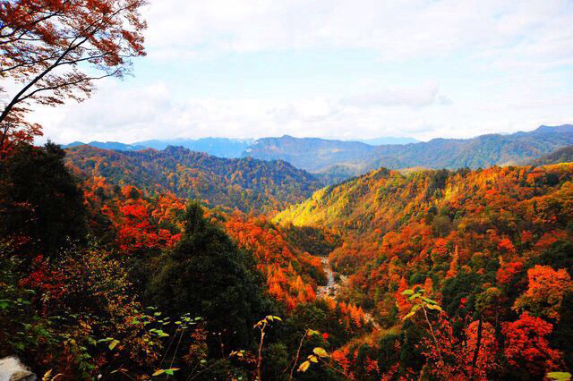 【 i 旅行 】黄叶丹枫盛宴^_^光雾山红叶 - 巴中游记攻略【携程攻略】