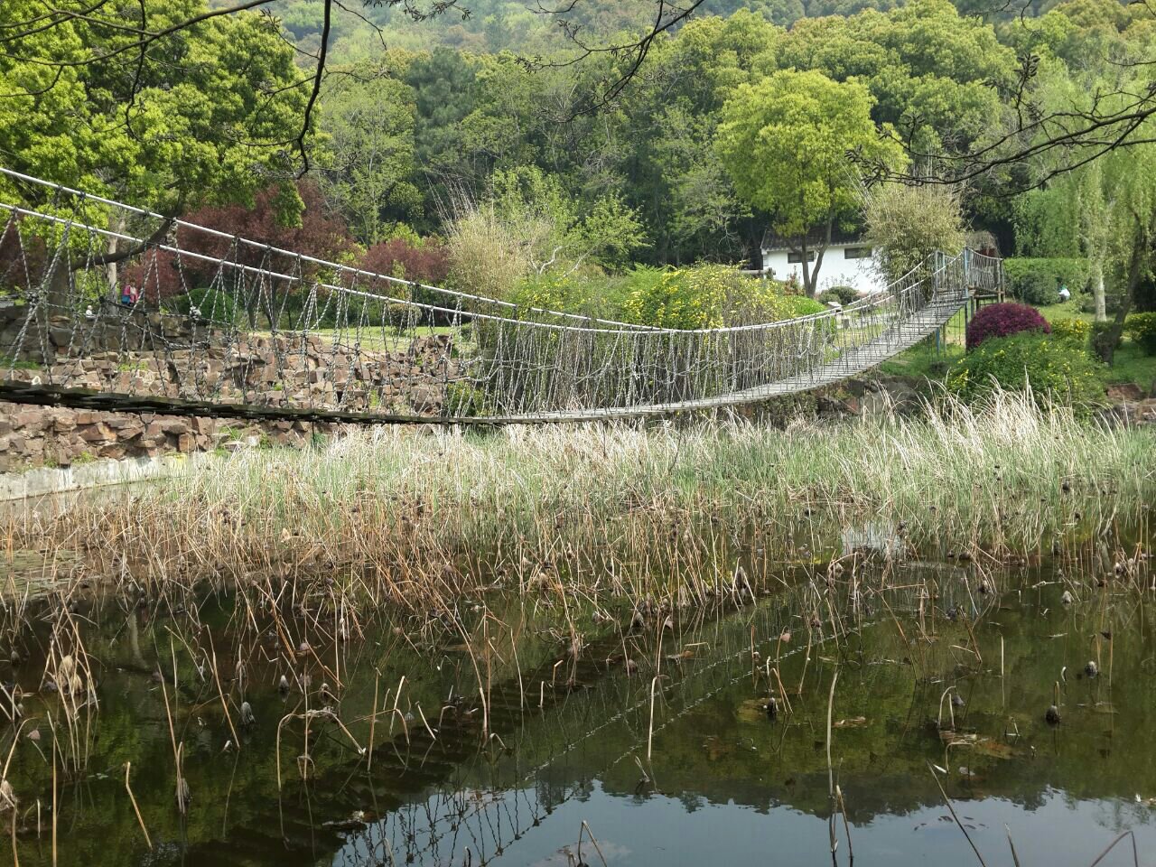 苏州灵岩山到白马涧穿越指南 苏州游记攻略【携程攻略】