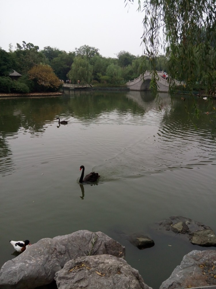 茱萸湾风景区