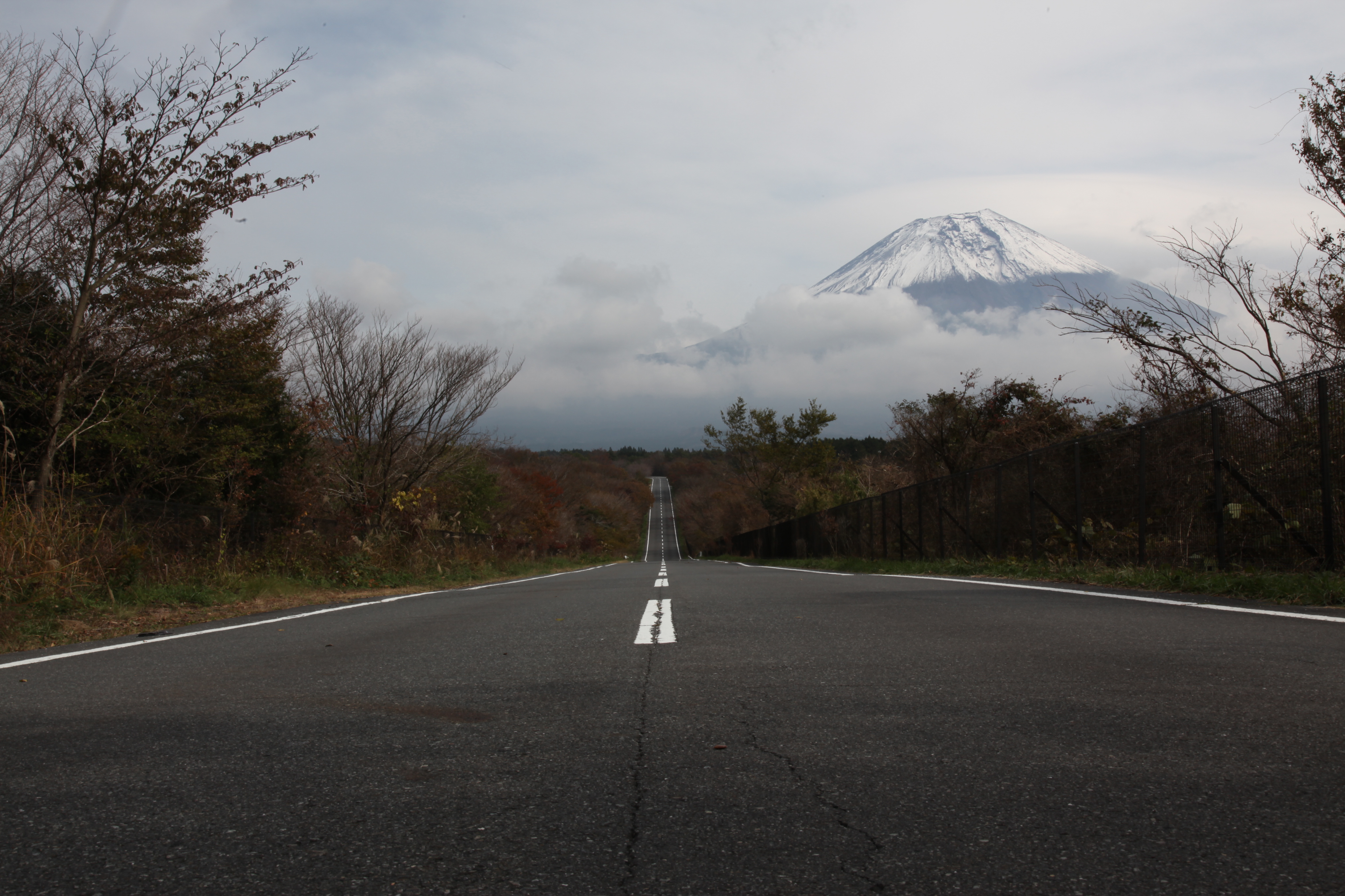 "heartland 朝雾"的牧场