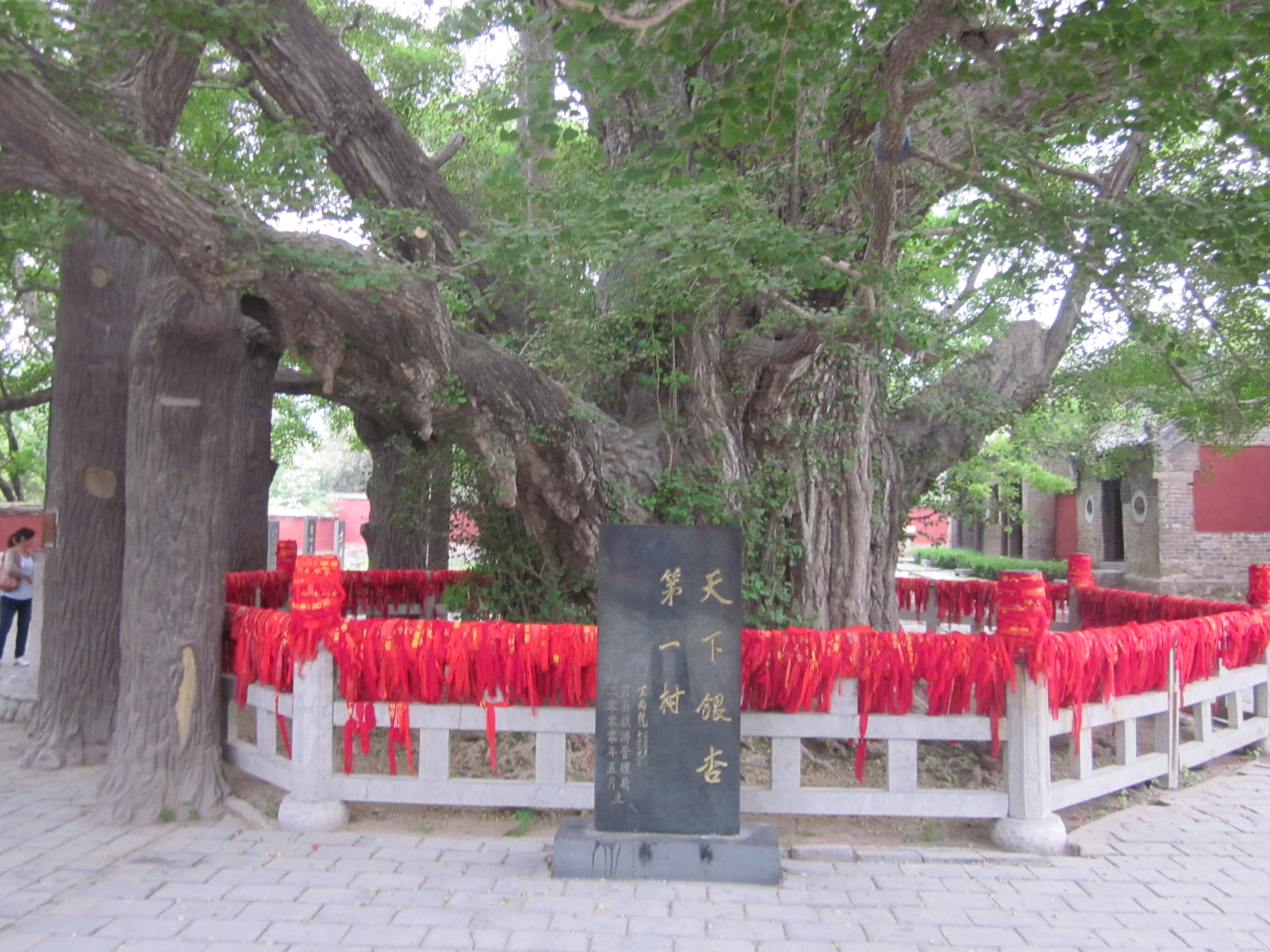 浮来山风景区,日照浮来山风景区攻略/地址/图片/门票