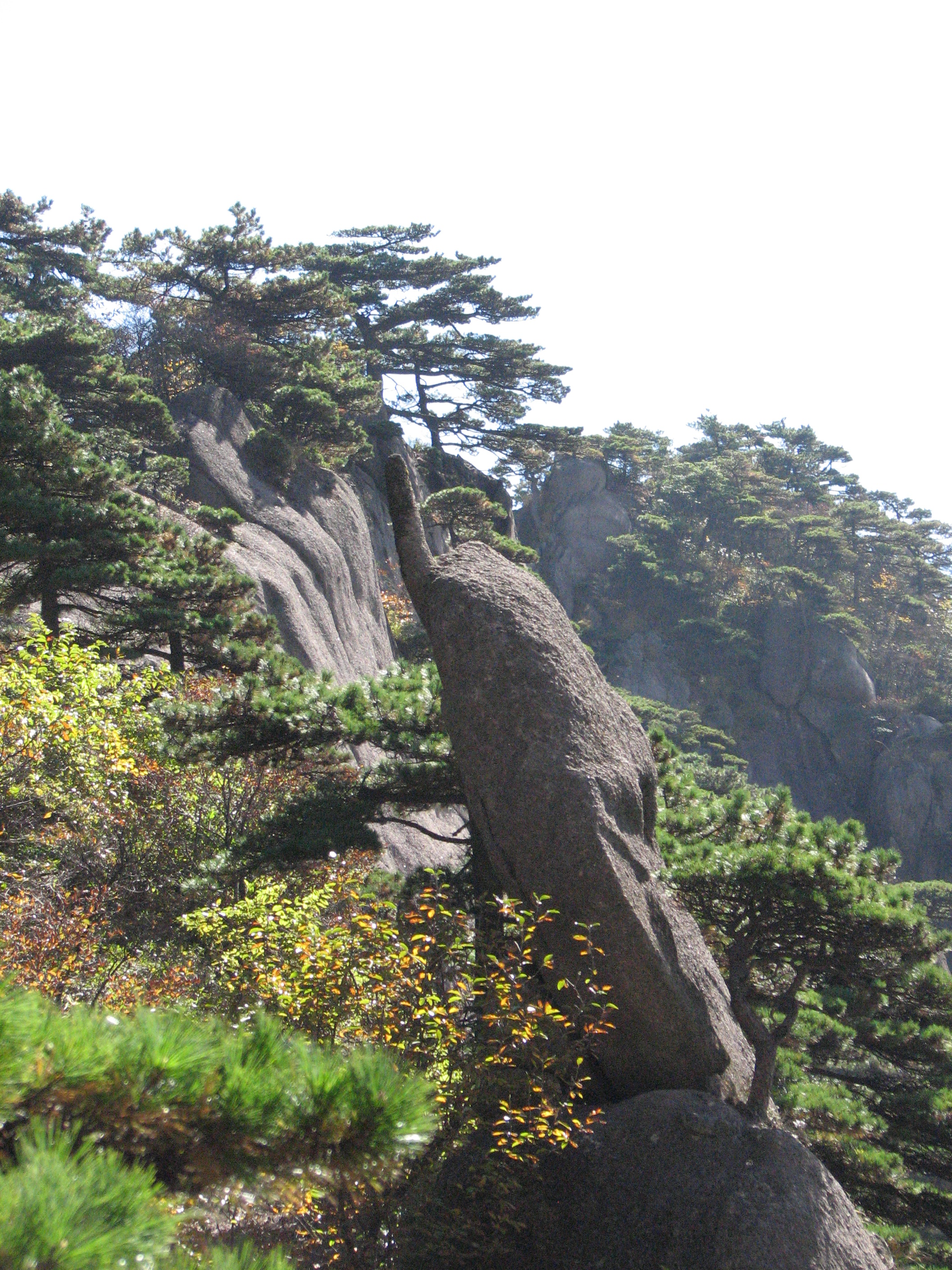 仙人指路                                               黄山