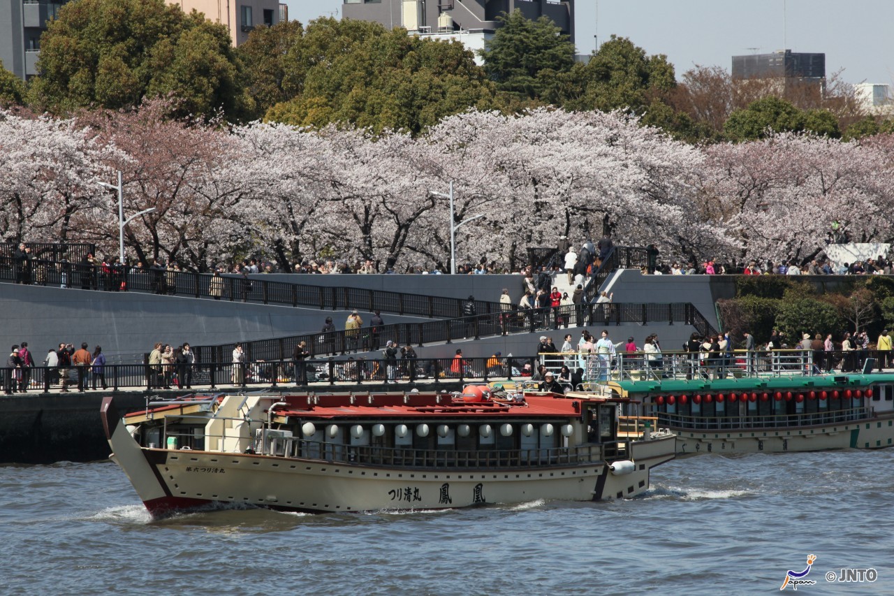 皇居二重桥 浅草寺周边 隅田川游船 东京塔 台场彩色板城一日游(含餐)