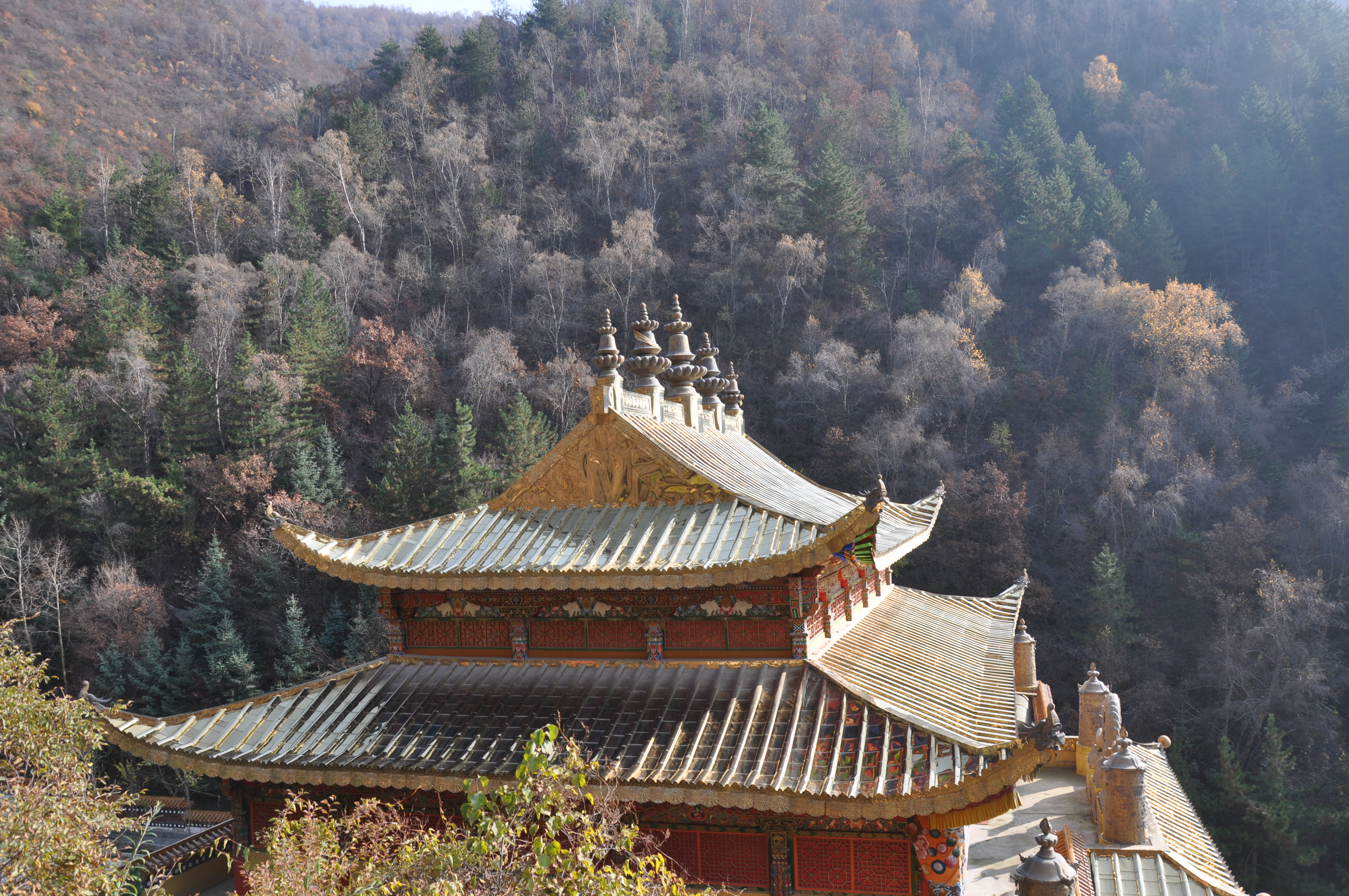 深山藏古寺