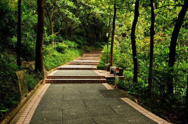 上山的步道,很幽静