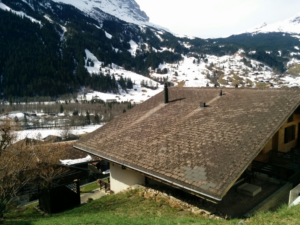 第1天 2014-03-30 格林德瓦 格林德瓦 spiez