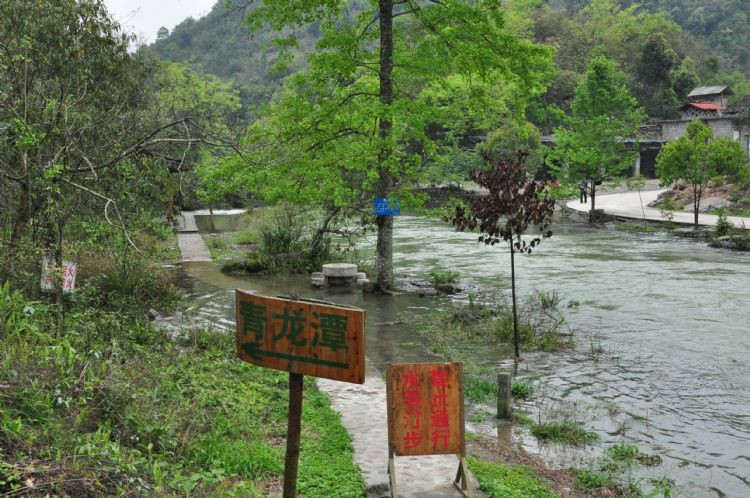 贵州游记之荔波茂兰喀斯特森林