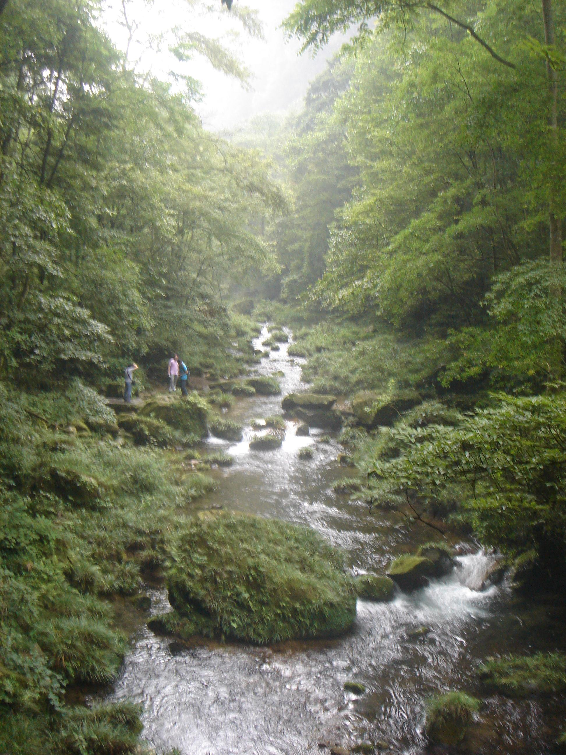 金鞭溪大峡谷 携程网