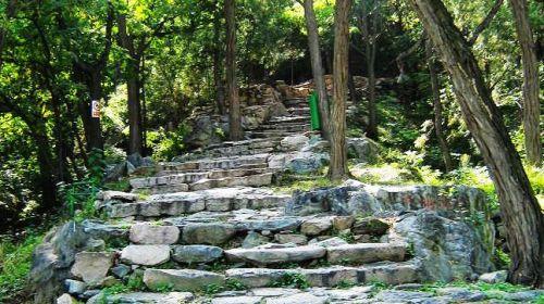 鹫峰森林公园 bbq自助烧烤 田园采摘巴士一日游