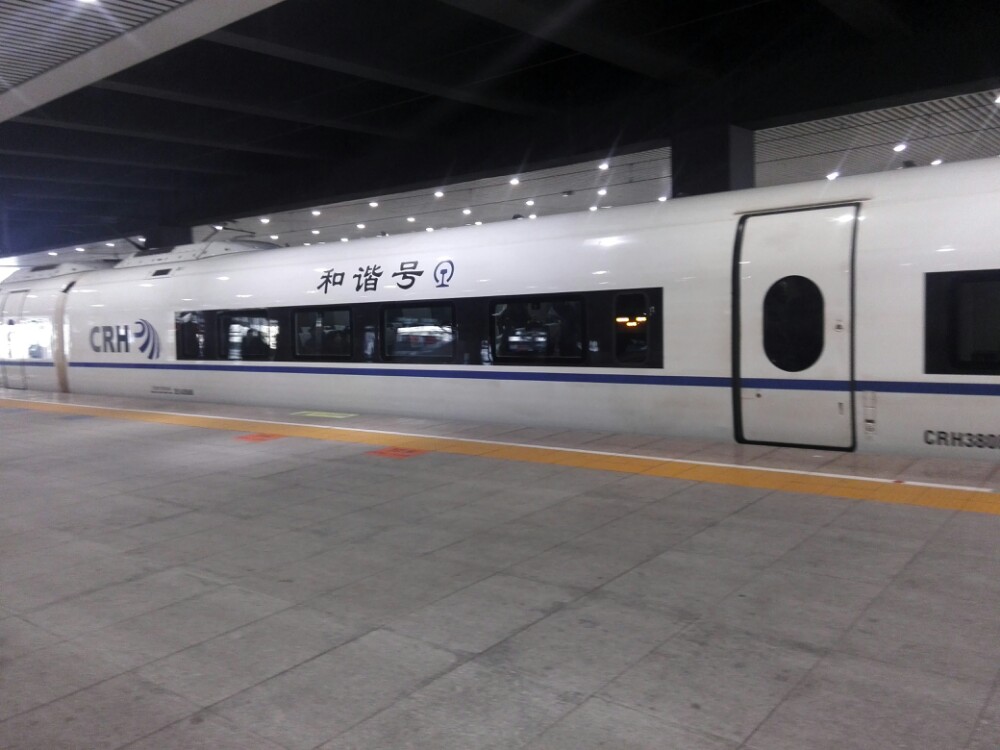 一直到沈阳北站站里,真方便,然后做高铁g8006去旅行第一站……大连