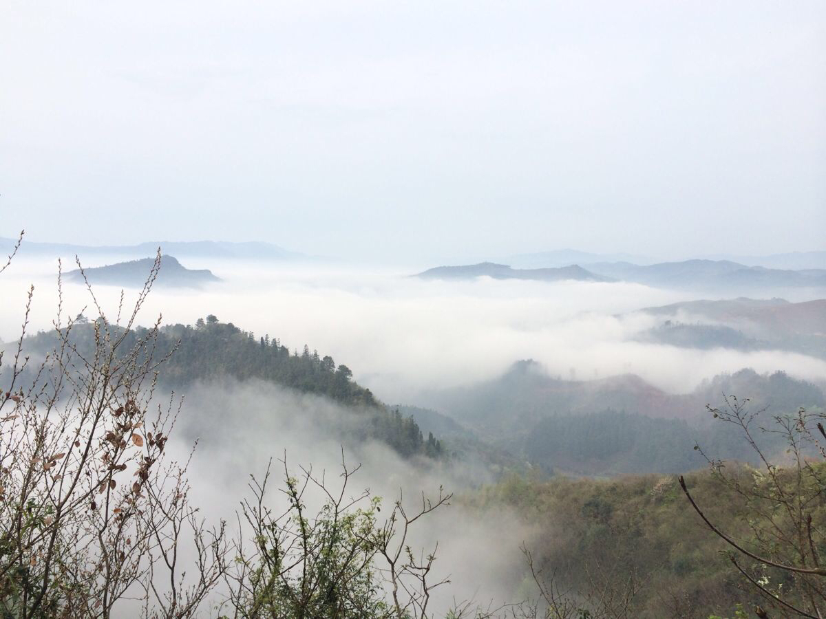 靖州飞山