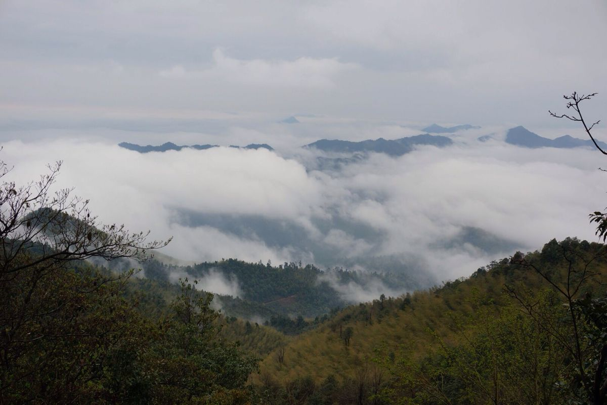 阳岭云海,如若仙境