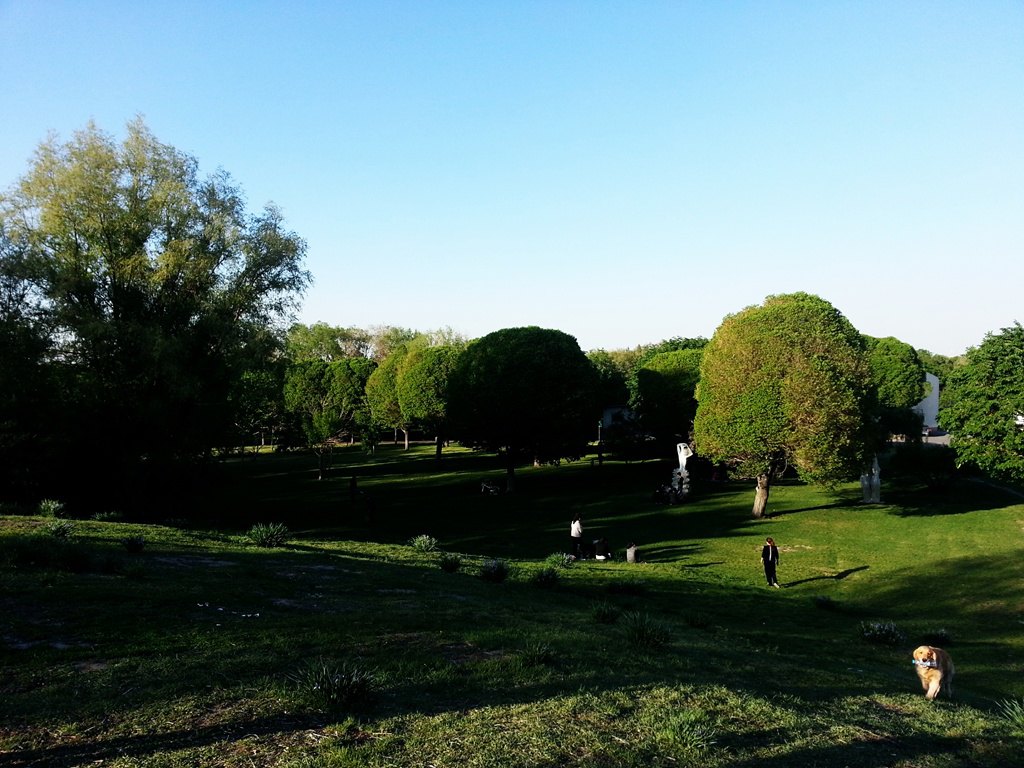 新疆财经大学商务学院图片