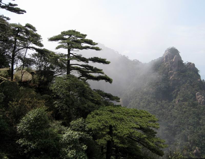 云游四海(152)峰林奇观三清山