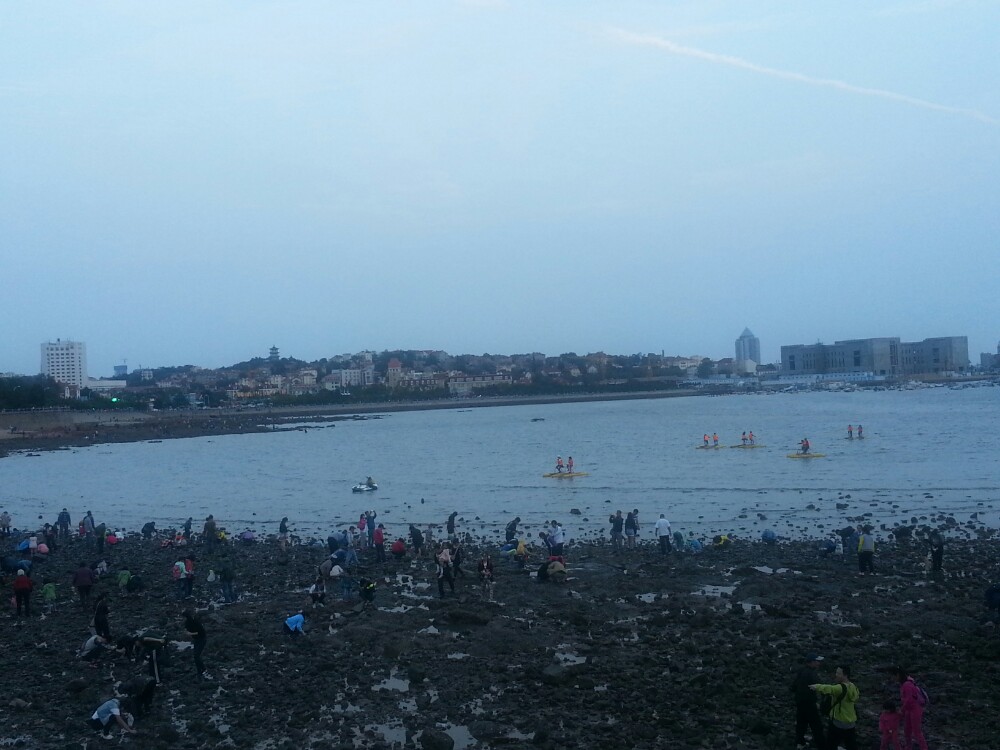 栈桥位于青岛中心城区的南部海滨,是一条440米长的海上长廊,从陆地延伸入海中。栈桥建于清光绪年间(1892年),已有百年历史,一直以来被视为青岛的象征。栈桥尽头的回澜阁,则是青岛近代历史的见证。 栈桥曾是青岛最早的军事专用人工码头。栈桥与小青岛隔水相望,北端与中山路商业街成一直线相连,栈桥的尽头建有三角形防波堤,而这里有一座具有民族风格的八角亭阁,定名回澜阁。回澜阁里面有一块无字碑,这块石碑的来历至今众说纷纭。现在,阁内通过主题展陈的方式,全面展示青岛近现代历史、人文、民俗等独特城市风貌。 栈桥两边有铁链