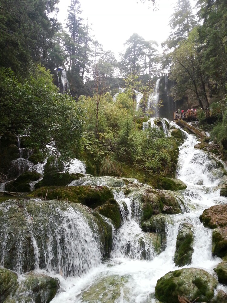 都江堰 青城山 九寨沟-写意山水行