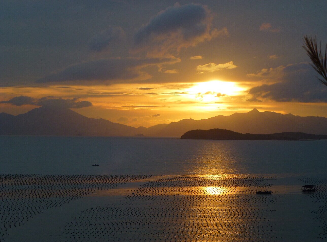 厦门,珠海,杭州,深圳,西塘,普陀山,苏州,黄山,九寨沟,西安,丽江,上海六盘山2日自驾游攻略图片