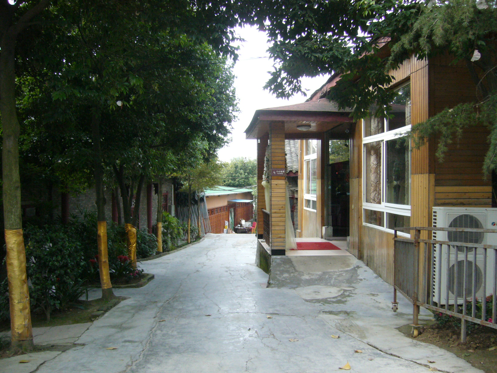 三圣花乡,红砂村--成都幸福梅林,花乡农居快游