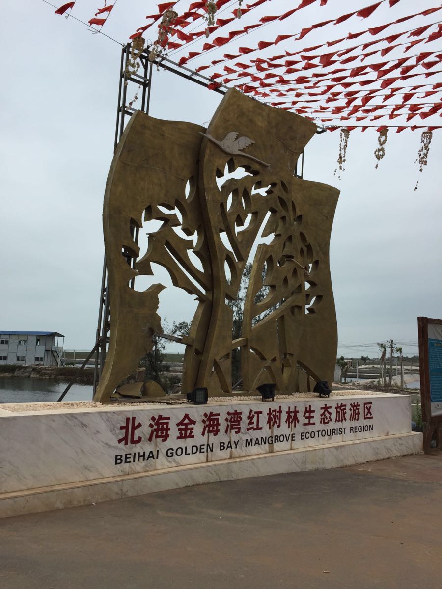 金海湾红树林,北海金海湾红树林攻略/地址/图片/门票【携程攻略】