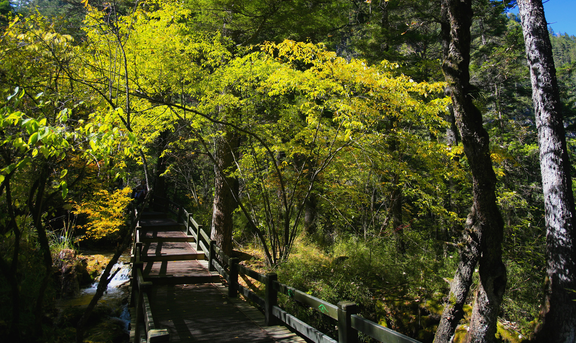 九寨沟4日半自助游·直飞纯玩 二进沟 早订立