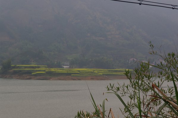 去千岛湖钓黄尾鲴,去杭州临安昌化看山花烂漫