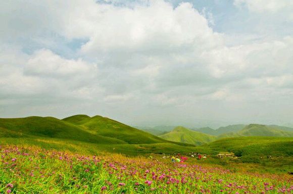 毕节韭菜坪