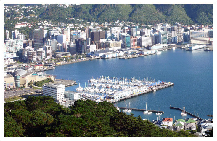 新西兰游 惠灵顿景点 海岸