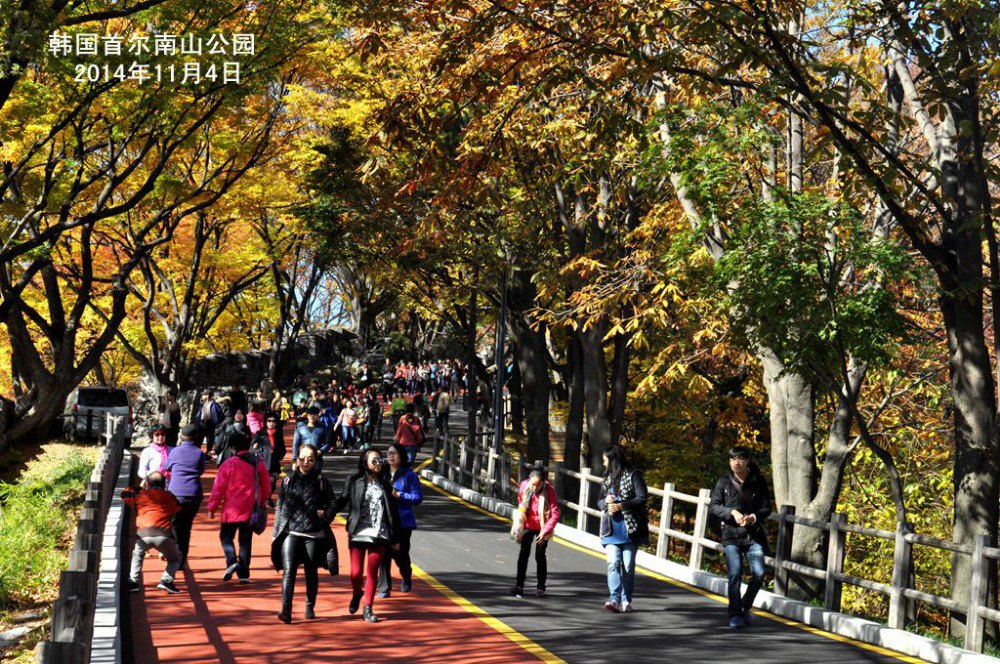 韩国首尔南山公园