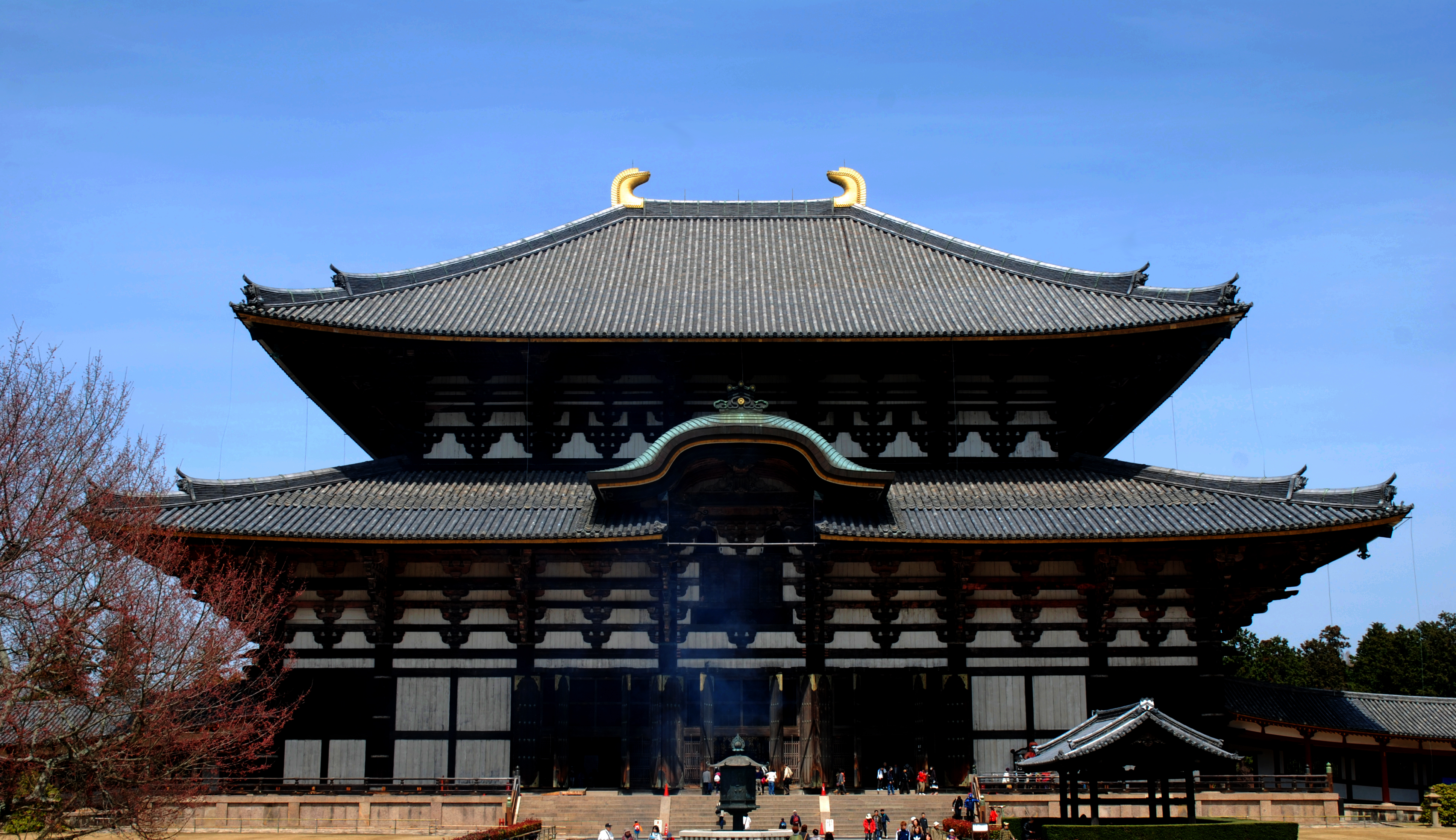 【携程攻略】近畿地方奈良县奈良东大寺好玩吗,奈良样