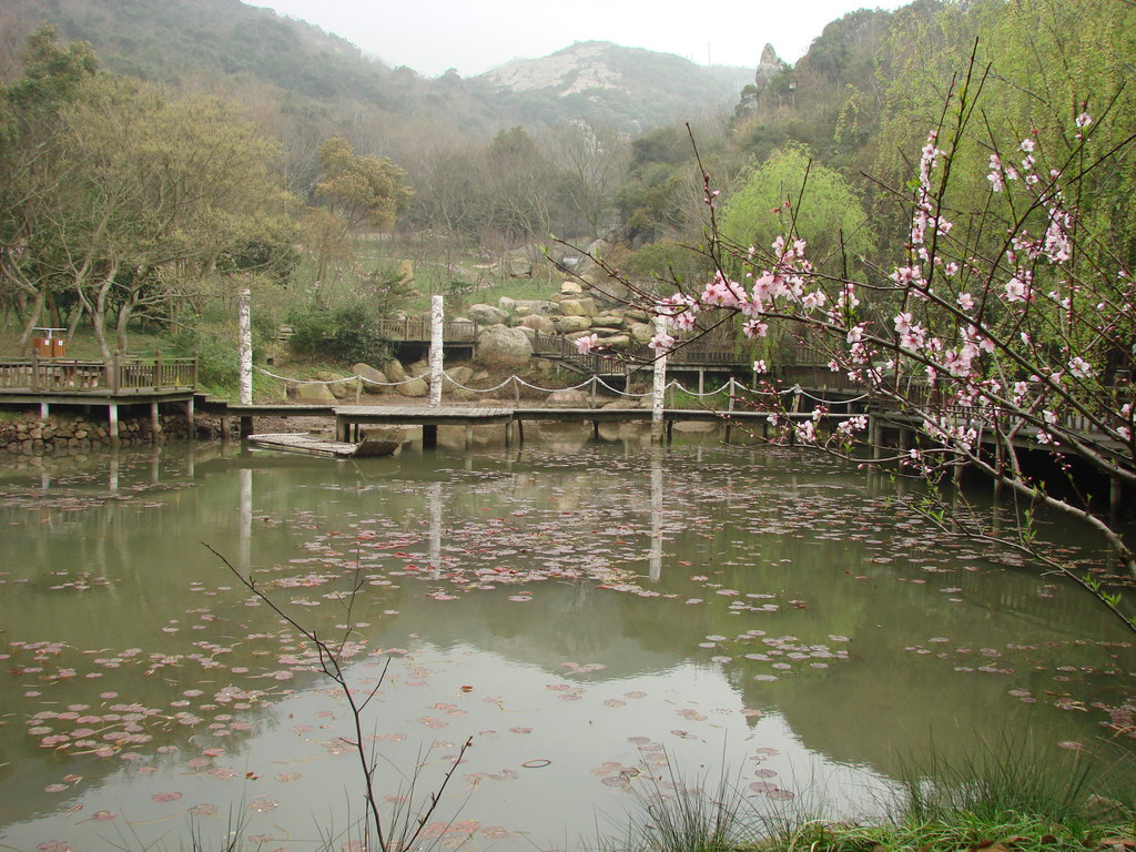 舟山群岛旅游散记【桃花岛篇】