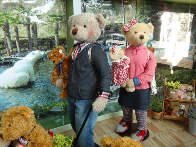 韩国济州岛泰迪熊博物馆