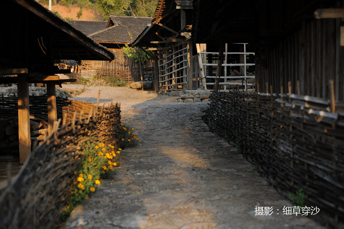 普洱西盟勐海西双版纳滇西中缅边境行摄旅行