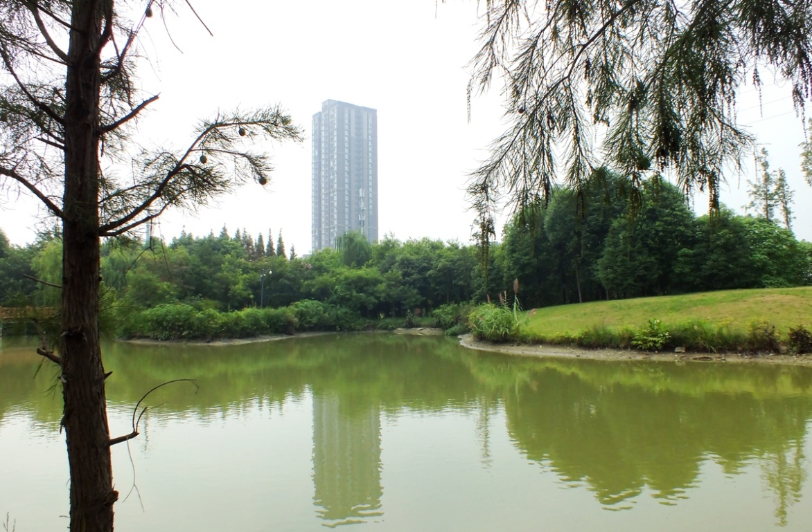 青白江凤凰湿地公园