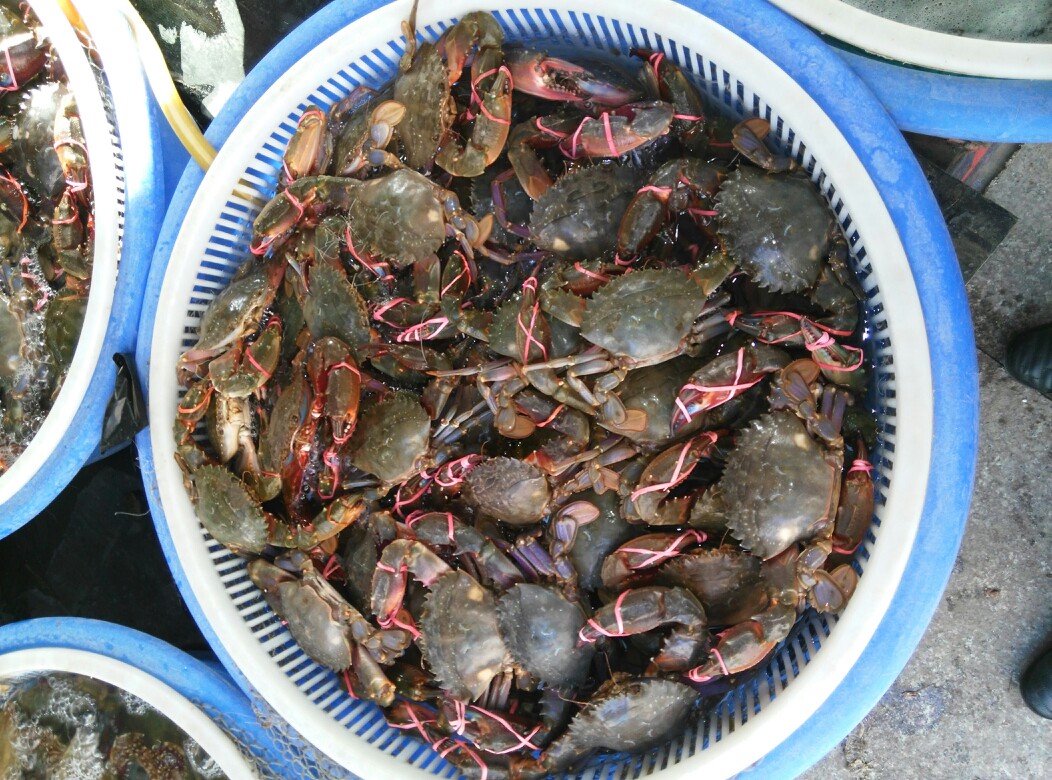 渤海鲜,霸王餐                                              盘锦