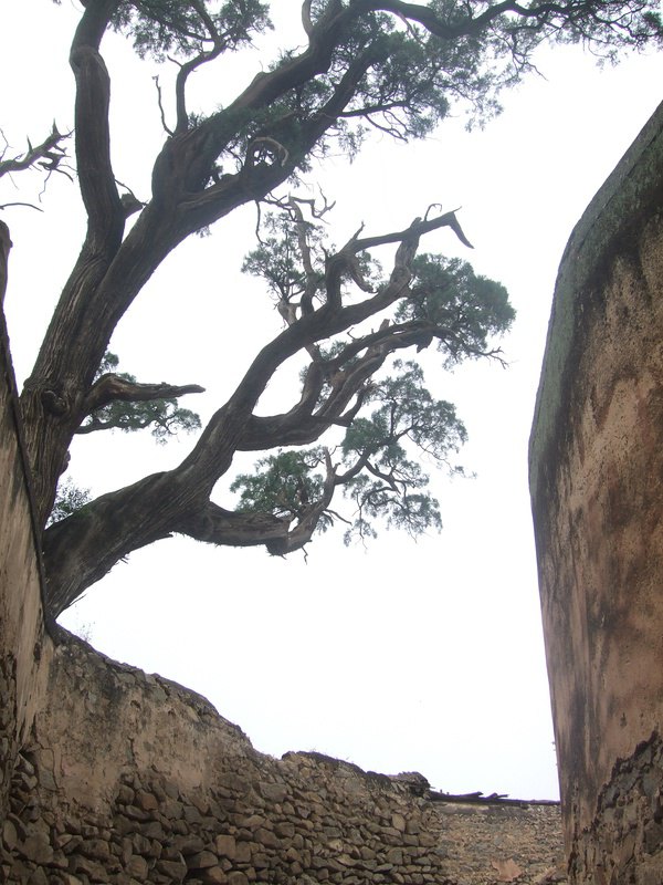 曾经淳朴的灵水举人村 - 门头沟游记攻略