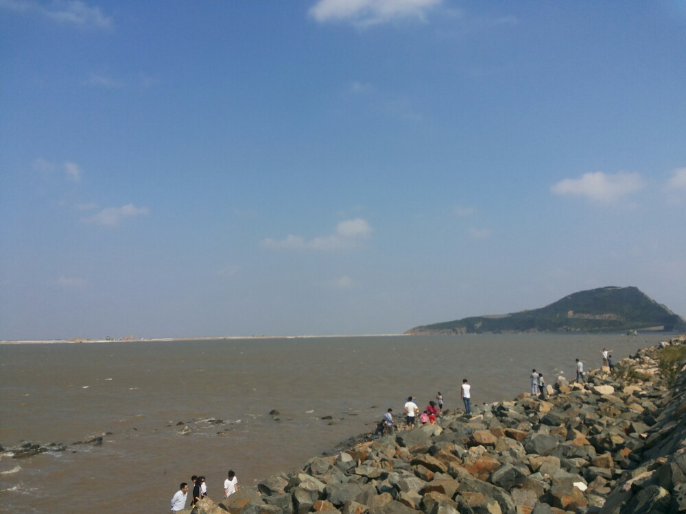 洋山港游