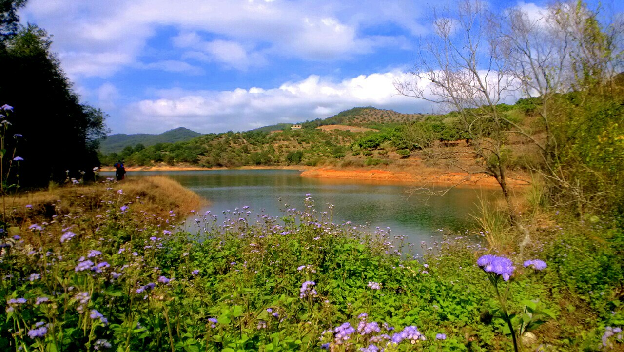                 厦门,汀溪水库